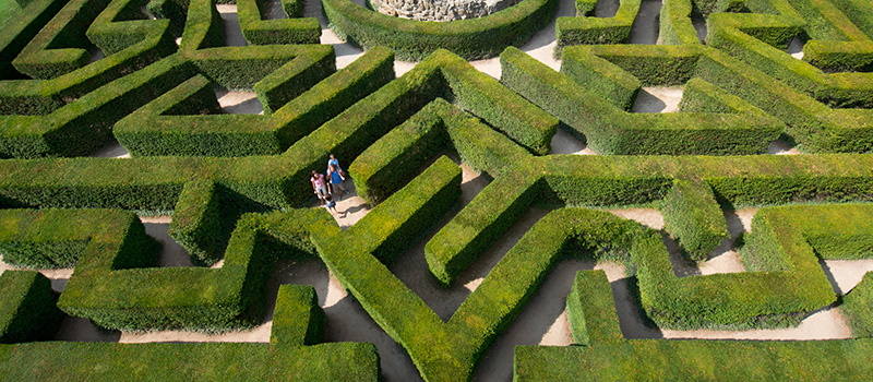 The Maze
