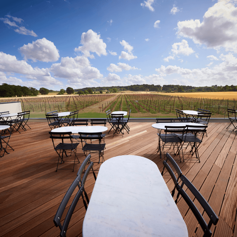 Untitled Design (98)