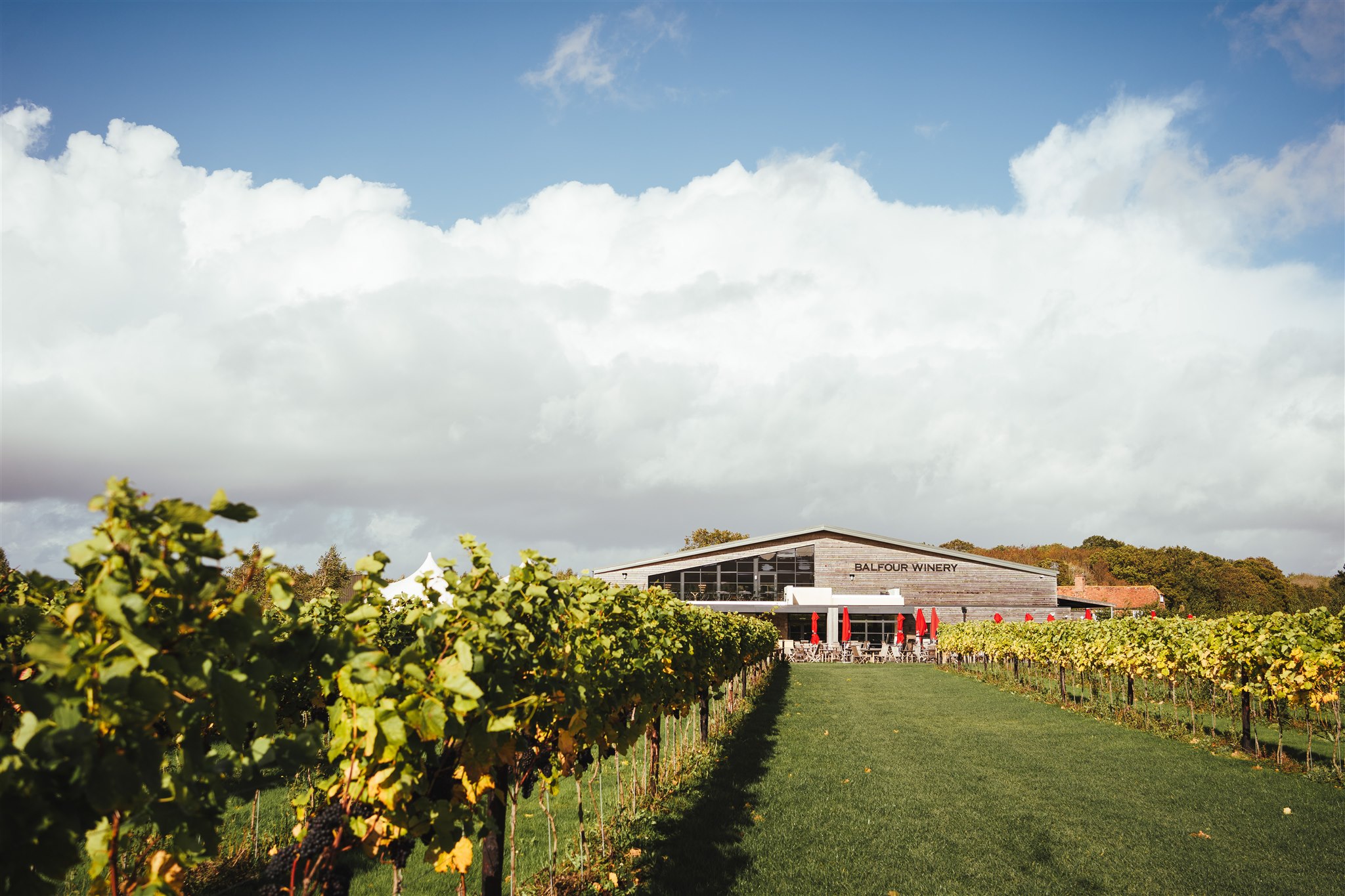 Harvest At Balfour 72 (2)