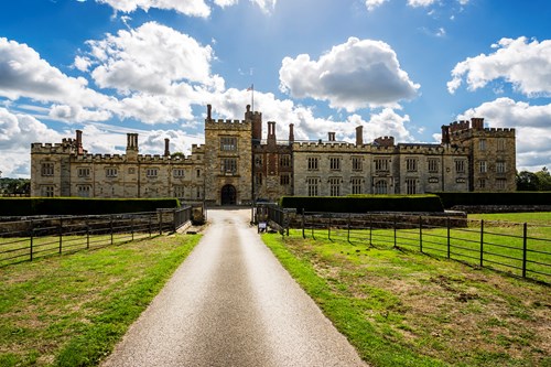 Davidson Levitan 050920 C Capture It Ltd Dsl100